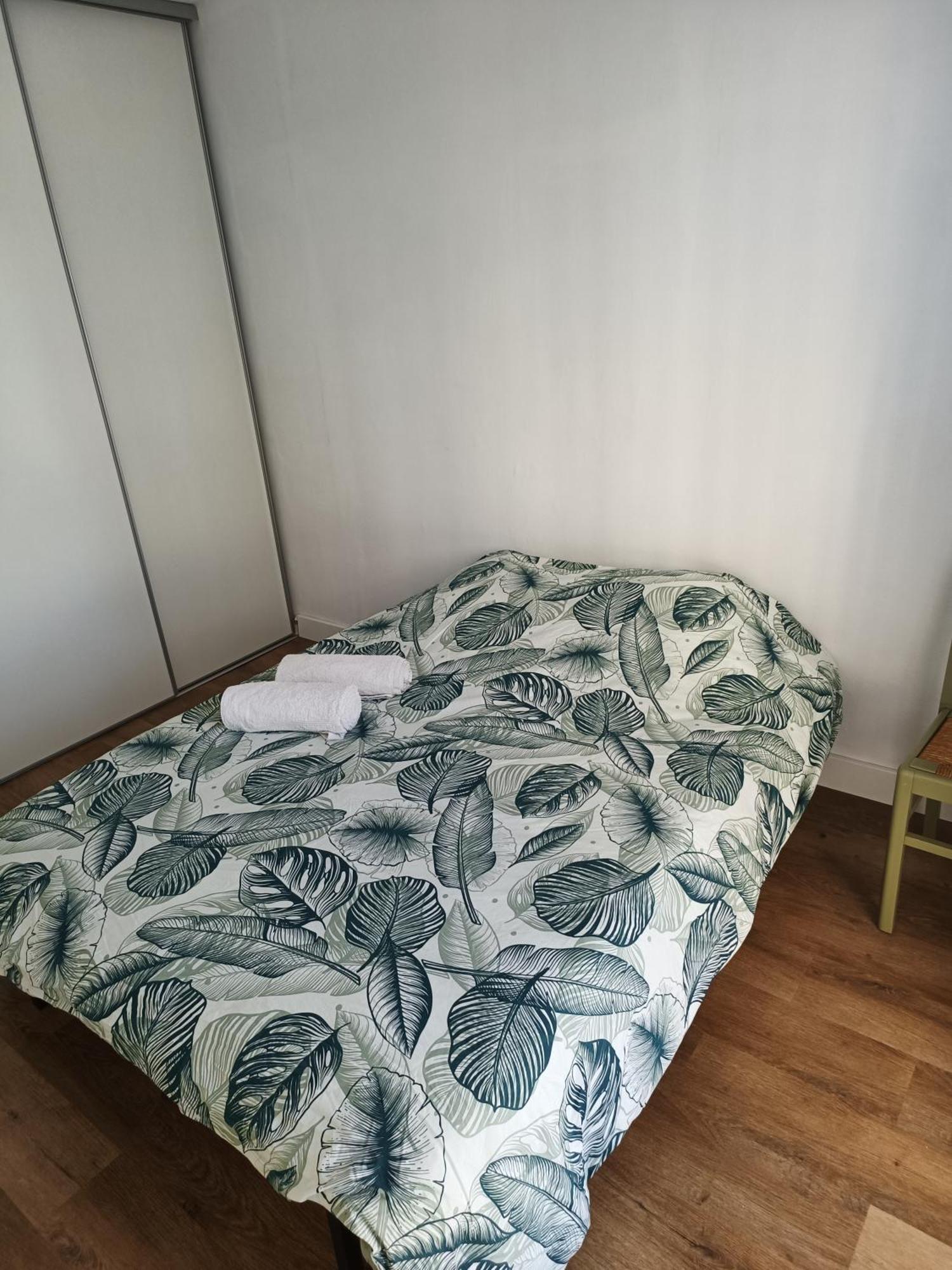 Appartement Proche Centre Ville / 3 Chambres Perpignan Eksteriør billede